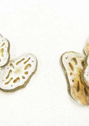 干し野菜作り★電子レンジと食品乾燥機-レシピのメイン写真