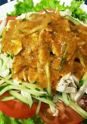鶏のささ身の棒々鶏-レシピのメイン写真