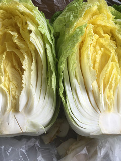 白菜の日持ち伸びする必殺カット!長期保存-レシピのメイン写真