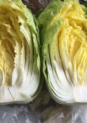 白菜の日持ち伸びする必殺カット！長期保存-レシピのメイン写真