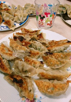 白菜と水菜の餃子-レシピのメイン写真