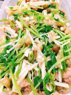 お弁当やおかずに★豆苗とツナの和え物-レシピのメイン写真