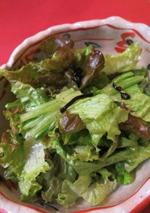 レタス　ゆず　塩昆布　ごま油のサラダ-レシピのメイン写真