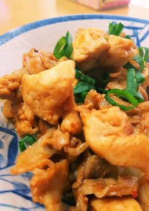 元気もりもり焼き肉丼 男子弁当にも！-レシピのメイン写真