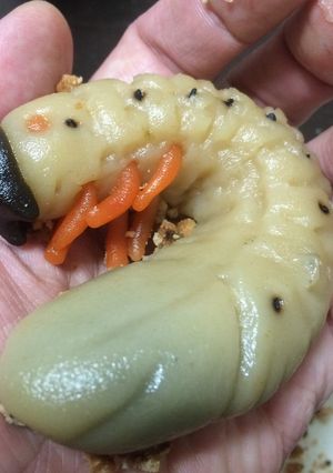 白玉団子でカブトムシの幼虫4(グロ強)-レシピのメイン写真