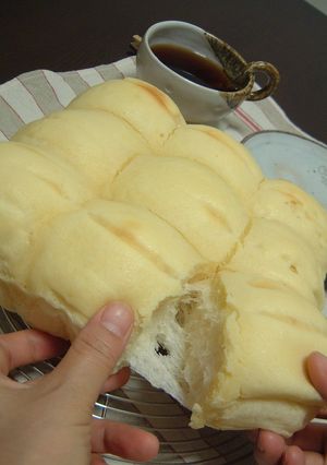 ヨーグルトのちぎりパン-レシピのメイン写真