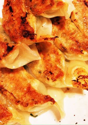 節約ヘルシー♪えのきともやしと豆腐の餃子-レシピのメイン写真