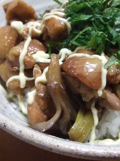 フライパンで30分照り焼き丼-レシピのメイン写真
