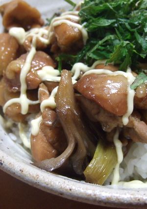 フライパンで３０分照り焼き丼-レシピのメイン写真