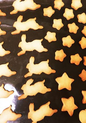歯ごたえ◎サクサククッキー-レシピのメイン写真