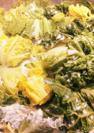 重ねて10分♪白菜と豚バラの豆乳煮-レシピのメイン写真