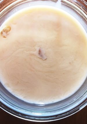 ユズの種で豆乳ヨーグルト-レシピのメイン写真