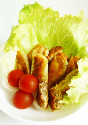 パリパリ　豆腐と納豆をシュウマイの皮で-レシピのメイン写真