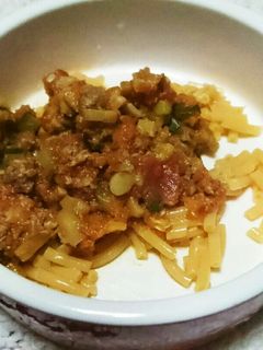【 犬ごはん】ミートソースのパスタ-レシピのメイン写真