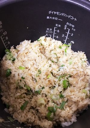 ネギご飯-レシピのメイン写真