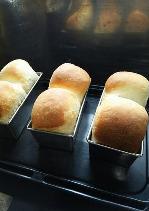 酒粕酵母のミニ食パン-レシピのメイン写真