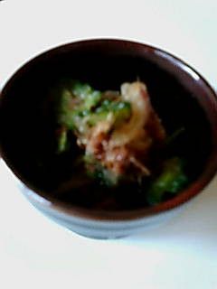 ♪あっさり^^ゴーヤのおひたし♪-レシピのメイン写真