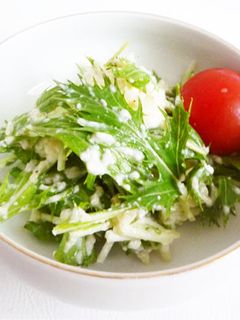 シャキシャキ水菜の白和え-レシピのメイン写真