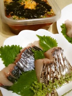 サワラの生ずし炙り-レシピのメイン写真