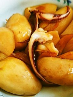 里芋といかげその生姜煮-レシピのメイン写真