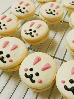 100均の製菓材料で! うさぎのマカロン-レシピのメイン写真