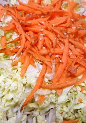 だしともやしのうま味を生かした鍋-レシピのメイン写真