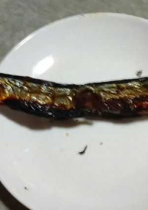 ★★グリルの秋刀魚焼き★★-レシピのメイン写真