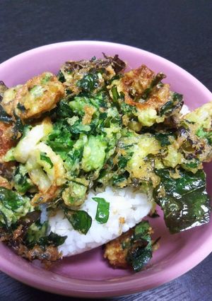 あり合わせのかき揚げ丼-レシピのメイン写真