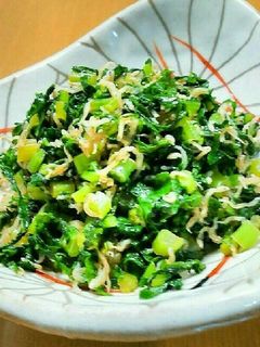 ジャコと大根菜の炒め煮-レシピのメイン写真
