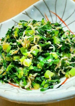 ジャコと大根菜の炒め煮-レシピのメイン写真