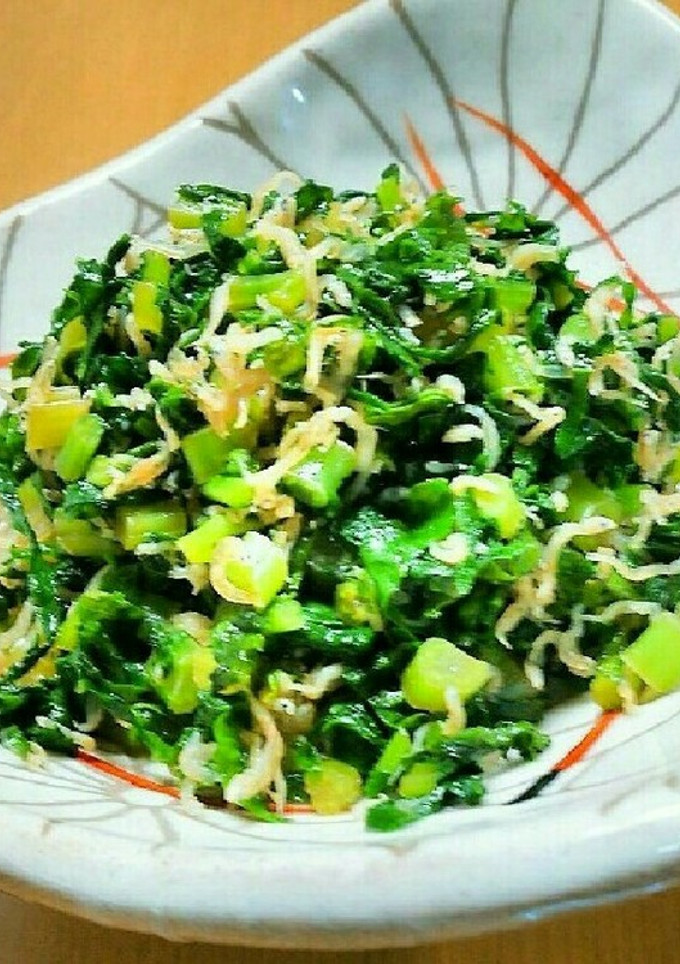 ジャコと大根菜の炒め煮-レシピのメイン写真