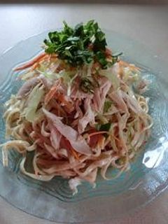 胡麻だれ冷製うどんサラダ-レシピのメイン写真