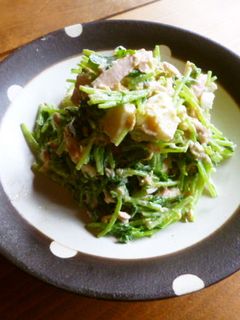 豆苗のツナ玉サラダ♪-レシピのメイン写真