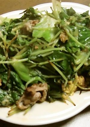 レタスの青い葉と豆苗のソテー-レシピのメイン写真