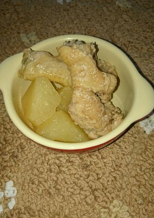 手羽元とハヤトウリの煮物-レシピのメイン写真