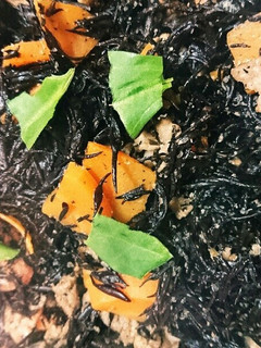 簡単♪ひじきと豚肉のあっさり胡麻煮⭐-レシピのメイン写真