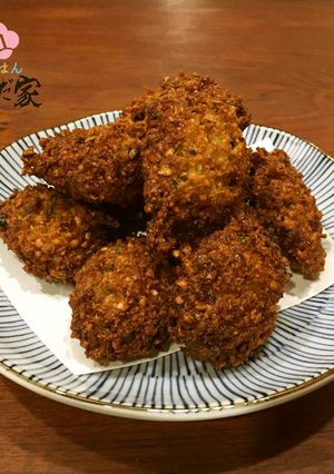 発芽大豆のファラフェル-レシピのメイン写真