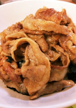 ガッツリ食べたい！ネギ抜きすた丼風-レシピのメイン写真