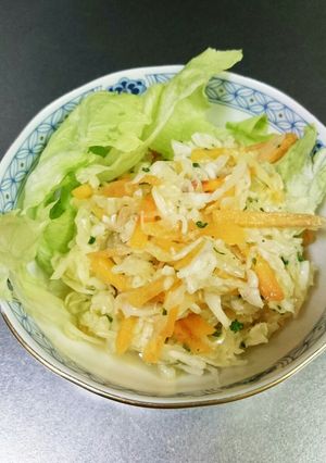 柿のコールスローサラダ-レシピのメイン写真