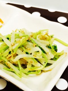 豆苗ともやしの胡麻和え-レシピのメイン写真