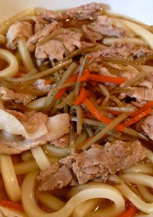 ズボラ美味い！けんちん風うどん-レシピのメイン写真