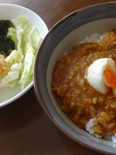 お麩がまるでお肉のドライカレー-レシピのメイン写真