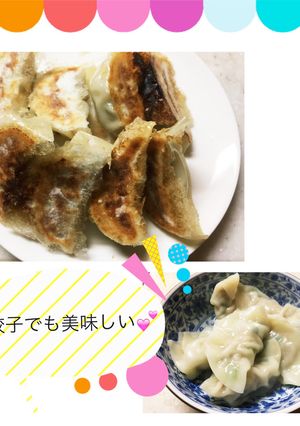 乙ちゃん家の手作り餃子-レシピのメイン写真