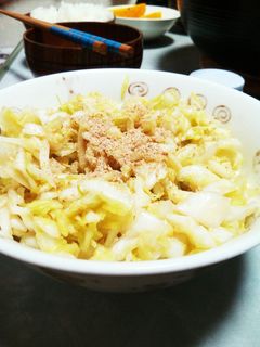 キャベツの浅漬け-レシピのメイン写真