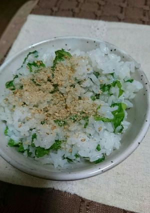 簡単！大根菜のご飯！マジで美味しい-レシピのメイン写真