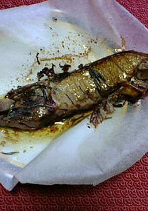 マグロカマのローズマリー焼き-レシピのメイン写真