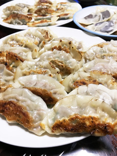 梅しそ餃子-レシピのメイン写真