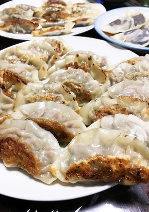 梅しそ餃子-レシピのメイン写真