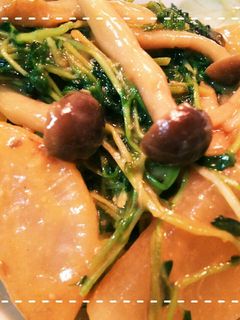 レンジ時短!大根としめじと豆苗のみそ炒め-レシピのメイン写真