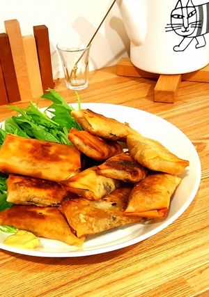 野菜だらけの簡単春巻き!-レシピのメイン写真